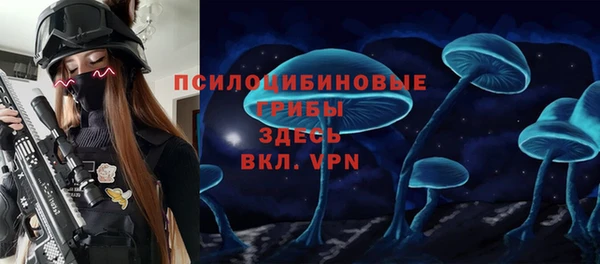 гидропоника Абаза