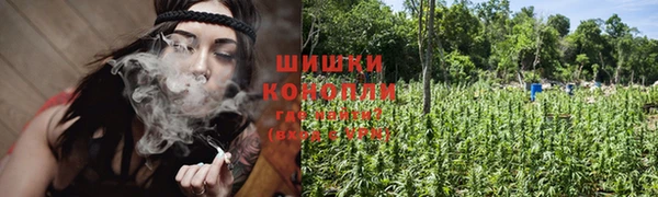 гидропоника Абаза