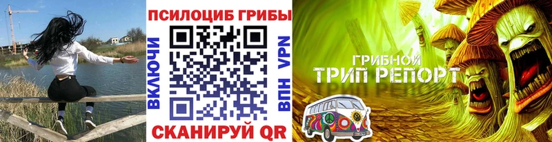 Галлюциногенные грибы ЛСД  Ильский 